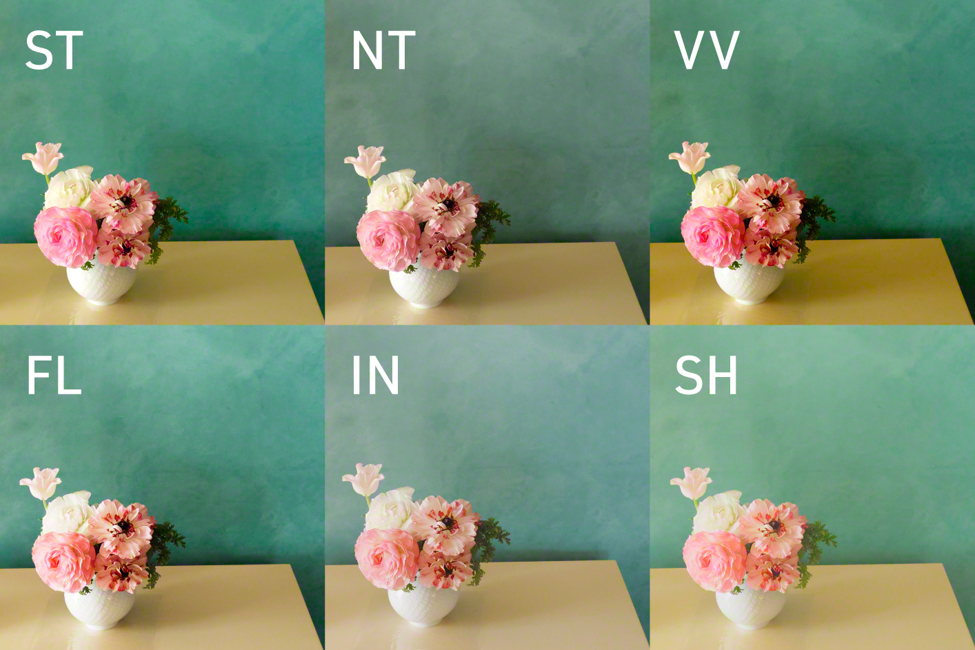 Zes afbeeldingen van roze bloemen in een witte vaas op een tafel tegen een groene muur