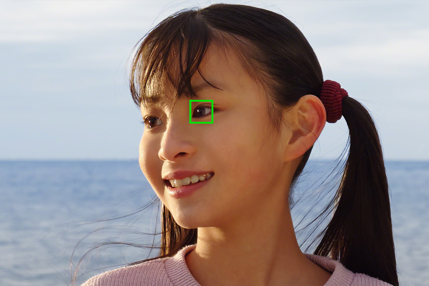 Close-up van een persoon met een groen vierkant rond het oog