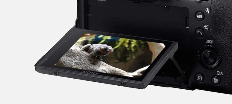 DSC-RX10M4 Specificaties | Cyber-Shot compacte camera's | Sony